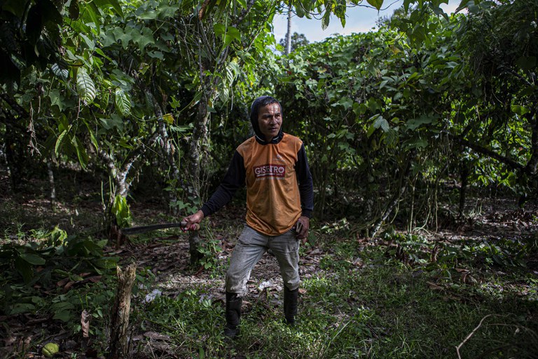 Marson Palada memegang parang usai membersihkan rumput liar di bawah pohon kakaonya di Kalimago, Kabupaten Poso, Sulawesi Tengah, 19 Maret 2023. [Keisyah Aprilia/BenarNews]