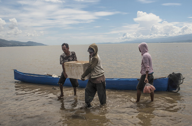 Dua warga mengangkat kotak gabus berisi udang kecil dari perahu di pantai Kelurahan Lere, Kota Palu, Sulawesi Tengah, 23 Juni 2019. (Keisyah Aprilia/BeritaBenar)