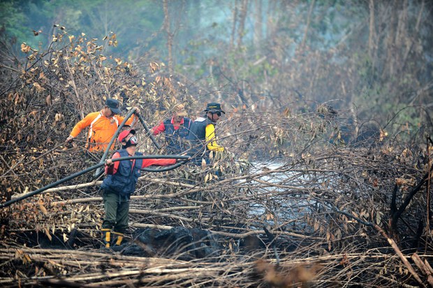 forestfire-1000