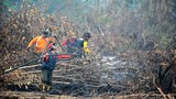 forestfire-1000