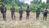 180820-ID-papua-620.jpg