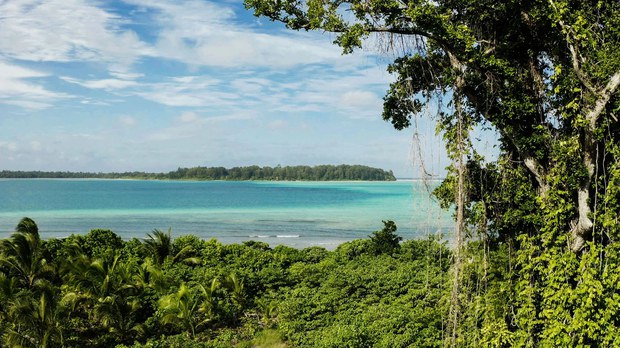 Protes dari aktivis lingkungan picu pemerintah batalkan ijin pelelangan pulau
