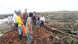16071-ID_Forestfire_1000.jpg