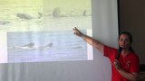 160502_ID_Pesut_1000.jpg