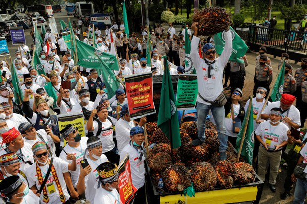 Ratusan petani sawit tuntut Jokowi cabut pelarangan ekspor Ratusan petani sawit tuntut Jokowi cabut pelarangan ekspor