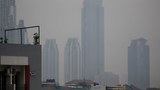 Akui Sudah Lakukan Perbaikan Lingkungan, Pemerintah Ajukan Banding Putusan Polusi Udara
