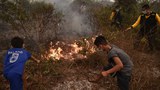 161207_ID_Peatland_1000.jpg