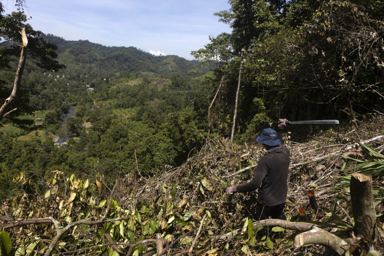 Seorang warga membersihkan lahan yang akan dibuat perkebunan jagung di Polewali Mandar, Sulawesi Selatan, 21 April 2024. [Yusuf Wahil/AP]