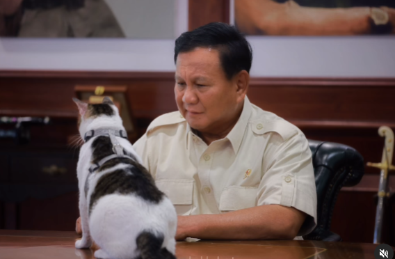 Prabowo Subianto memandangi kucingnya, Bobby, dalam foto yang diposting di halaman Instagram kucing tersebut pada 7 Januari 2024. [Via Instagram/bobbykertanegara]