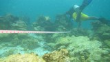 170317_ID_RajaAmpat_1000.jpg