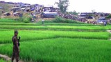 170918-BD-camp-1000.jpg