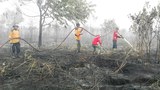170127_ID_Riau_1000.jpg