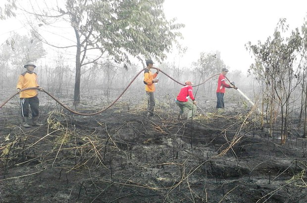 170127_ID_Riau_1000.jpg 170127_ID_Riau_1000.jpg