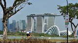 160808_ID_Marina_1000.jpg