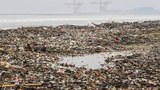 170622_ID_waste_1000.jpg
