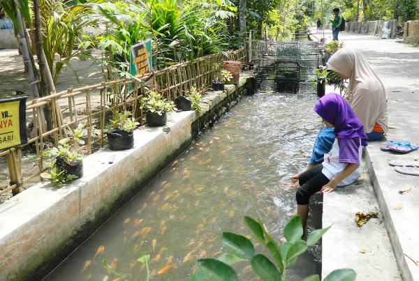 Seorang anak dan ibunya melihat ikan dalam parit di Desa Wukirsari, Kabupaten Bantul, Yogyakarta, 20 Januari 2018. (Kusumasari Ayuningtyas/BeritaBenar)