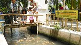 180124_ID_Fish_1000.jpg