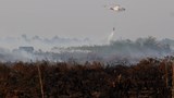 190815_ID_BorneoFires_1000.jpg