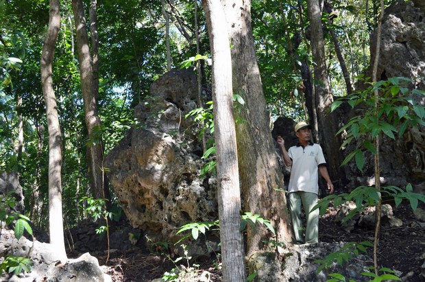 160324_ID_hutan_1000
