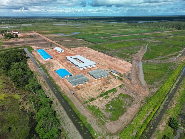 Proyek swasembada gula di Papua ditanggapi kecemasan warga atas eksploitasi Proyek swasembada gula di Papua ditanggapi kecemasan warga atas eksploitasi