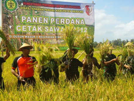 Para petani mengangkat padi untuk merayakan Panen Perdana Cetak Sawah di Dusun Wasur II, Kelurahan Rimba Jaya, Kabupaten Merauke, Papua, 28 Mei 2012. [Sumber: Website Pemkab Merauke]