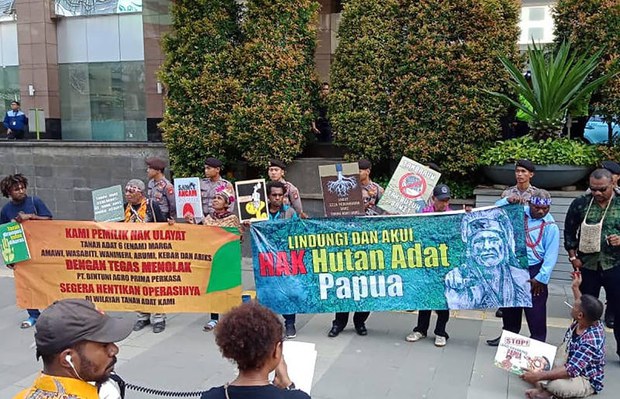 181116_ID_papua_800.jpg