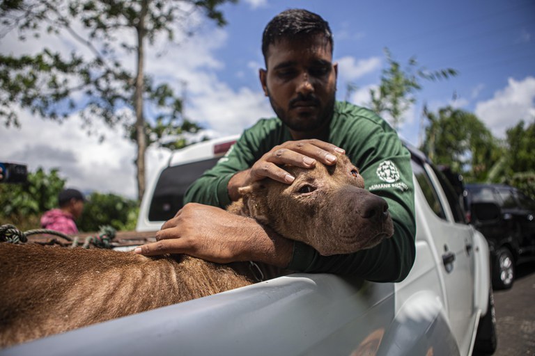 Anggota tim penyelamat hewan Humane Society International (HSI) bersama seekor anjing yang baru diselamatkan dari rumah pemotongan anjing dan kucing di Kota Tomohon, Sulawesi Utara, 21 Juli 2023. [Taufan Bustan/BenarNews]