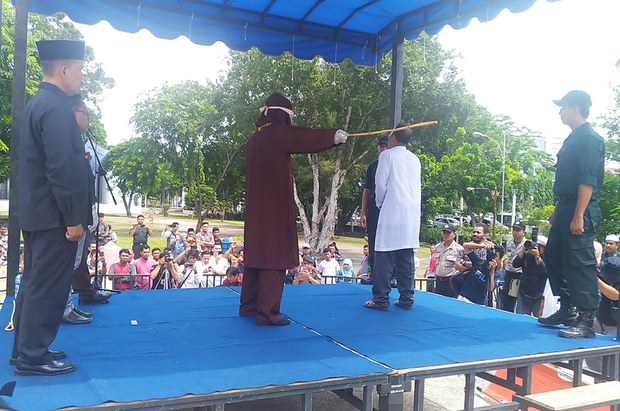 191931_ID_flogged_1000.jpg
