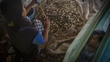 Ulama perempuan sepakat cegah perkawinan anak dan kawin paksa