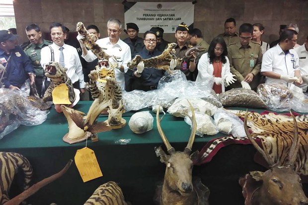 180502_ID_Satwaliar_1000.jpg 180502_ID_Satwaliar_1000.jpg