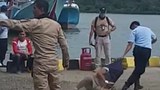 190503_ID_Ham_720.jpeg