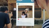 180604_ID_animalabuse_1000.jpg