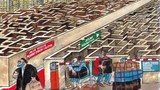 Perbedaan Peraturan Karantina Pejabat dan Masyarakat, Kok Bisa?