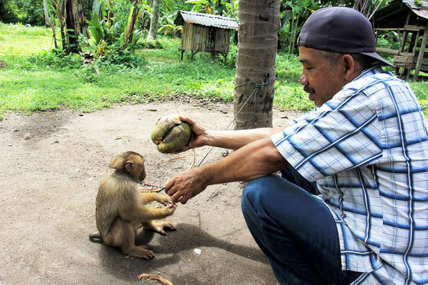 Monkey-06.jpg