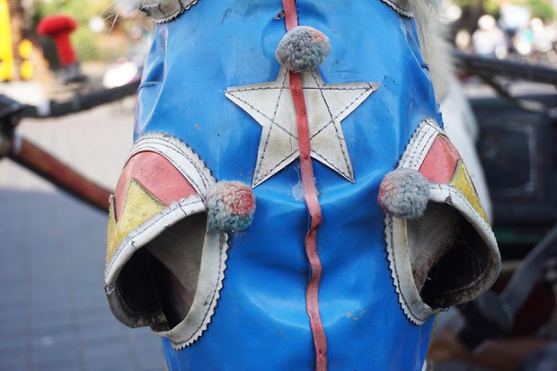 Dokar-4.JPG