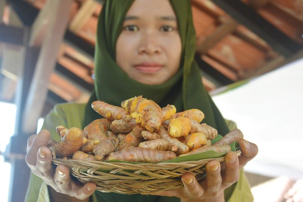 Jamu-5.jpg