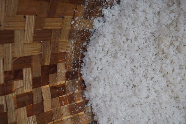 SALT-6.jpg