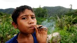170630-TOBACCO-9.jpg