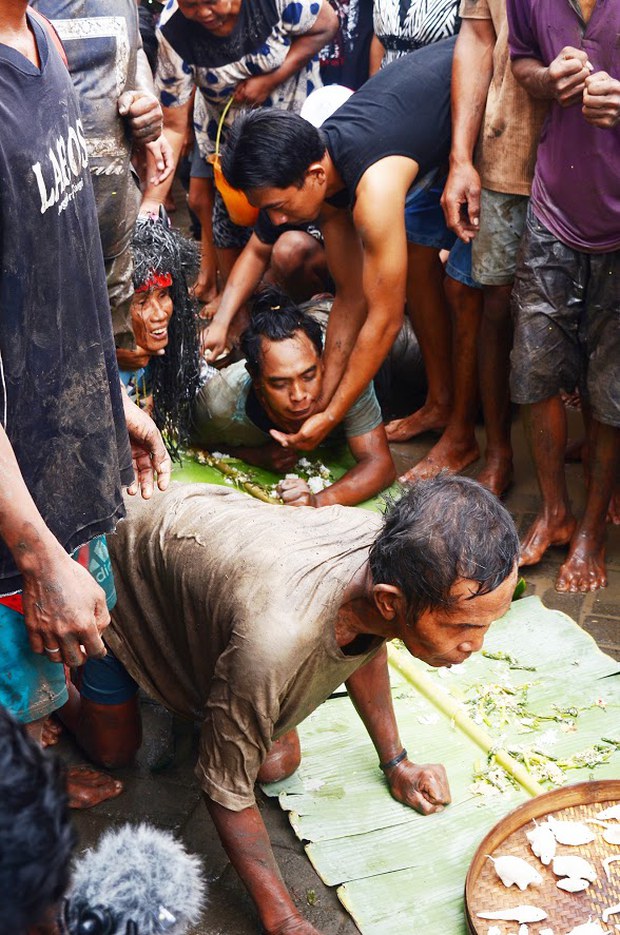 Kebo-keboan-6.JPG