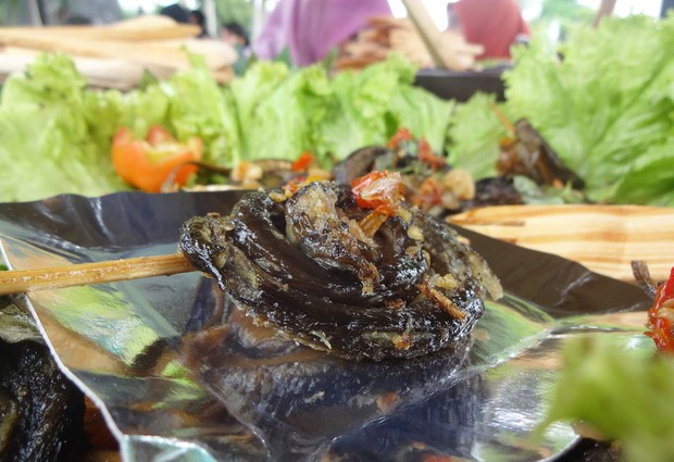 Culinary-Festival-9.jpg