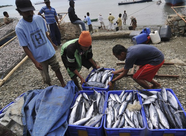 fisherman5.jpg