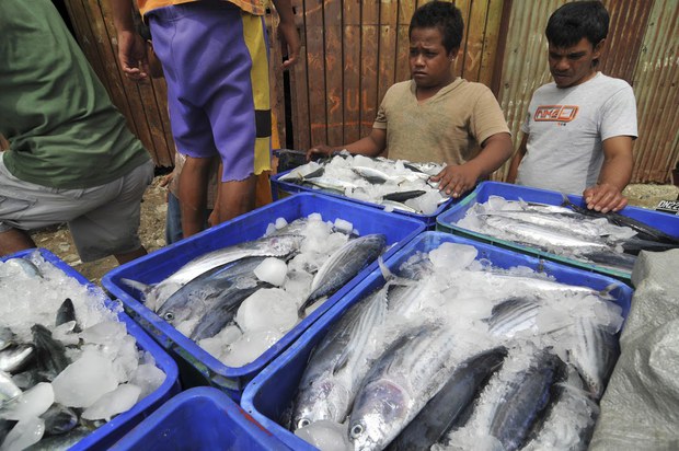 fisherman6.jpg
