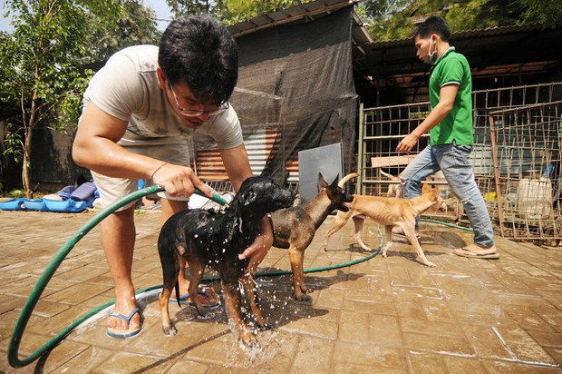 DOG-SHELTER-2.jpg