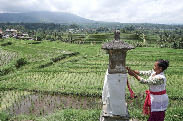 Subak-4.jpg