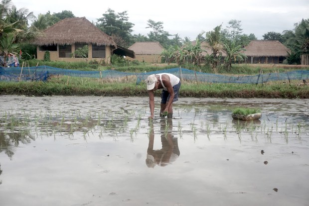 Subak-5.jpg
