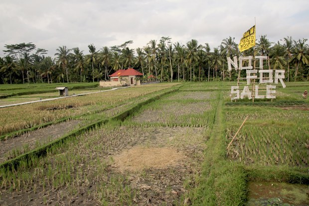 Subak-8.jpg