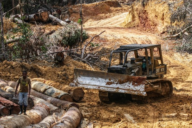 Deforestasi_Kalimantan_5.jpg