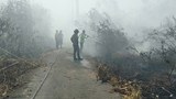 190416-MY-fire-620.jpg