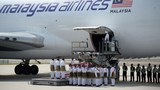 Waris sifatkan pencerobohan Rusia ke atas Ukraine kembalikan memori hitam MH17