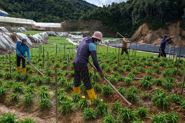Malaysia Buka Pintu Kepada Pekerja Asing Susulan Kekurangan Tenaga Kerja